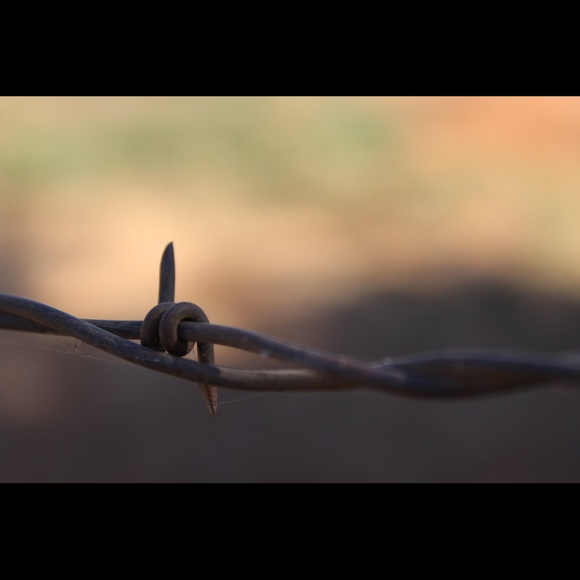 Meet your Posher, Casey - Picture 3 of 8